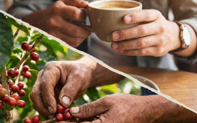 El lado oscuro de tu taza: ¿Por qué tu café barato te está saliendo tan caro?