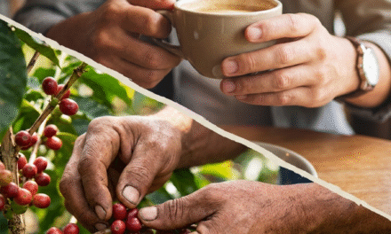 El lado oscuro de tu taza: ¿Por qué tu café barato te está saliendo tan caro?